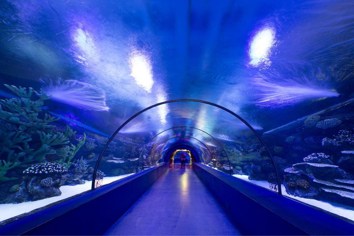Un tunnel sous-marin Maroc-Espagne à un prix vertigineux