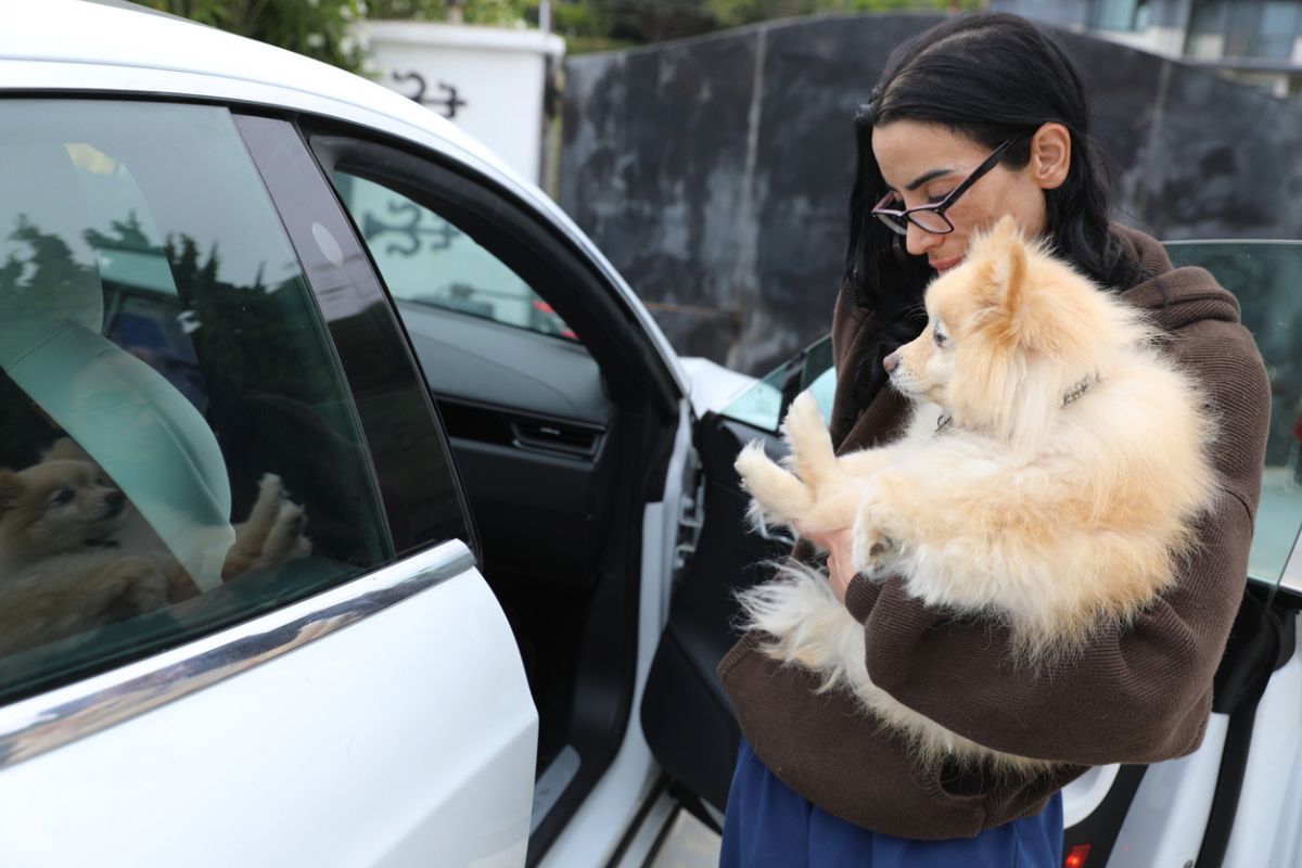 Vivre dans une Tesla avec chien et chat
