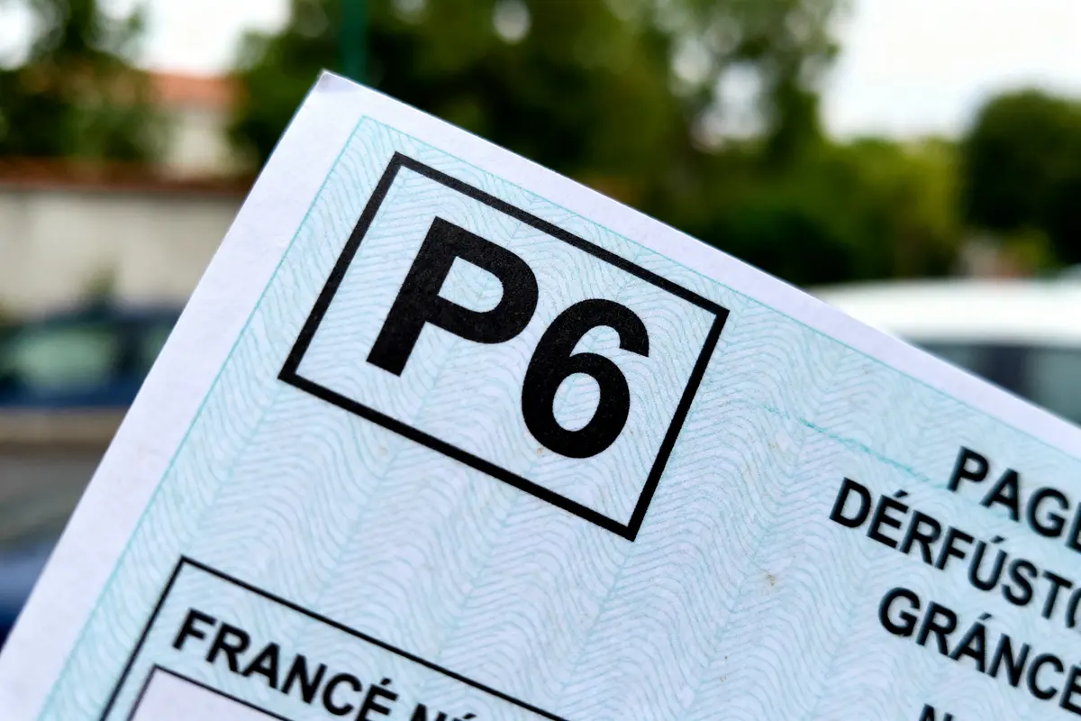 Document avec texte "P6", extérieur flou en arrière-plan, couleur verte dominante.